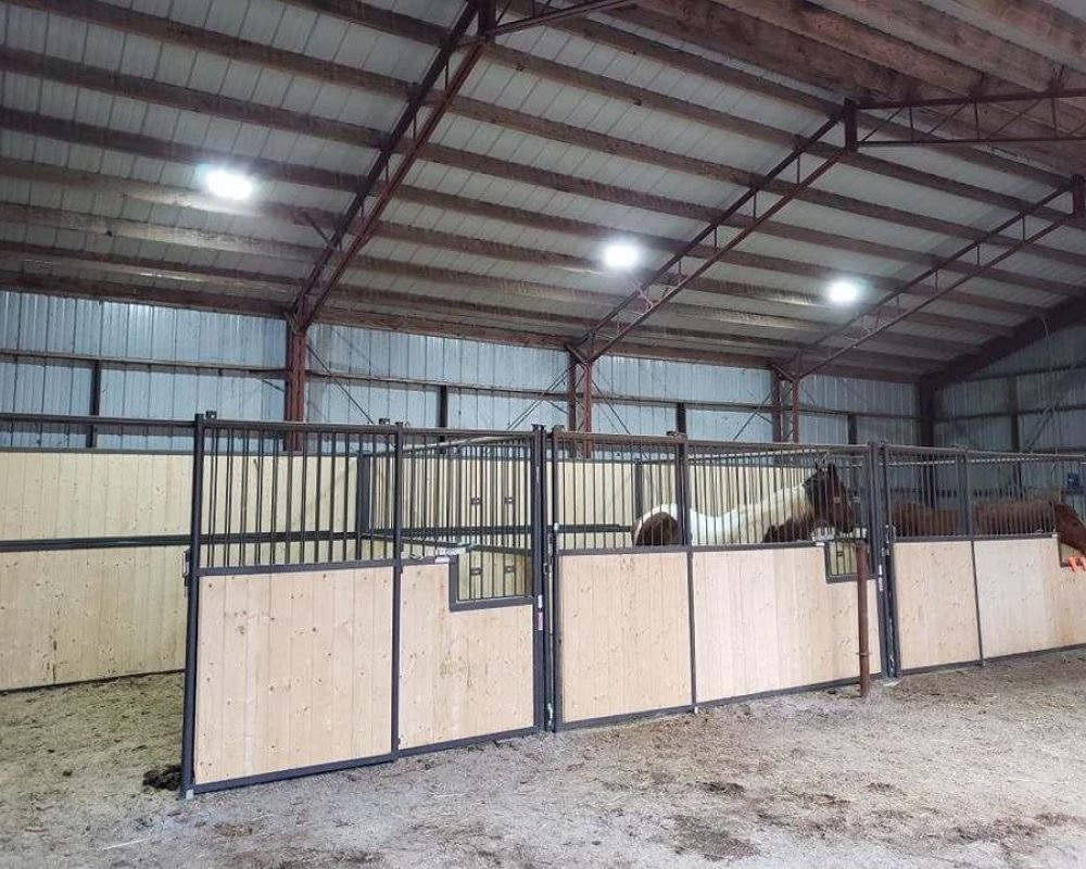 84393583_2814781555227133_8110956081053696000_n